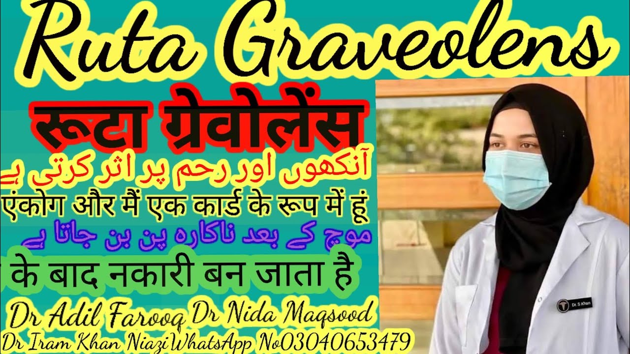 Ruta Graveolens Homeopathic Medicine Uses Urdu Hindi Ruta 30 Ruta 200 ruta-graveolens-homeopathic-medicine-uses-urdu-hindi-ruta-30-ruta-200