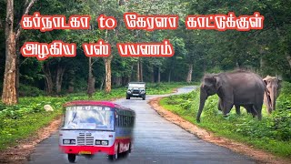 Karnataka to Kerala Beautiful Dense Forest Bus Journey | Jolly Trip