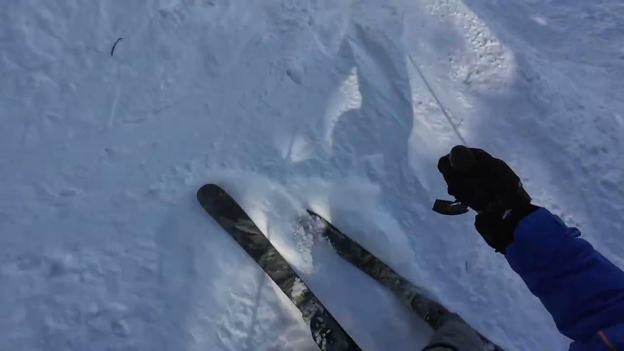 Stratton  - Shred Wood Forest