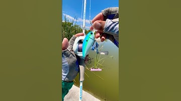 Tips setting a Baitcaster with Crankbait for Bass#fishing#fish#tips#shortvideo#shorts#short#viral