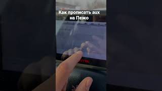 Как прописать aux Пежо 407 Peugeot 307 с помощью обычного сканера AUTEL