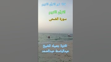 القرآن الكريم سورة الضحى #قران_كريم #اكسبلور #تيك_توك #religion #ترند #quranpak #القرآن_الكريم #دويت