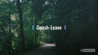 Gnash - Leave