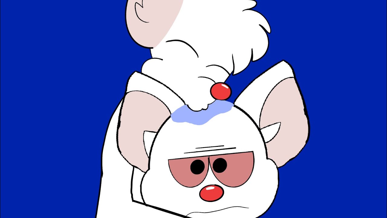 -hint hint- pinky and the brain drawing