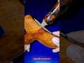 Keris pusaka tilam sari unik gandik panjang jamang murub? Koleksi tosan aji yang sangat ***