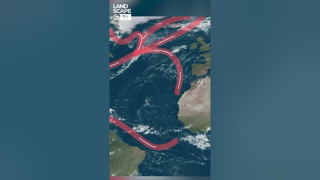 Is the Gulf Stream collapsing? #Shorts