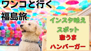 犬と行く福島旅①福島県随一のインスタ映えスポット&口コミで話題のハンバーガー屋に行ってみた
