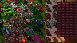 Famous Tibia: Test server take down Profile