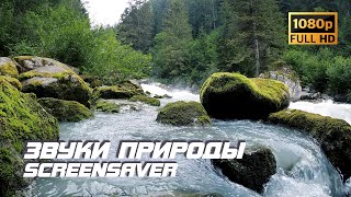 Живая природа - Бурная река | Звуки природы | Звуки реки | Релаксация | Снятие стресса | Заставка ТВ