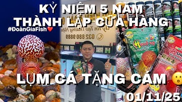 KỶ NIỆM 5 NĂM THÀNH LẬP CỬA HÀNG ĐOÀN GIA, LỤM CÁ TẶNG CÁM CHO AE MÌNH CHƠI TẾT 😳 Z.L 032.880.9889 