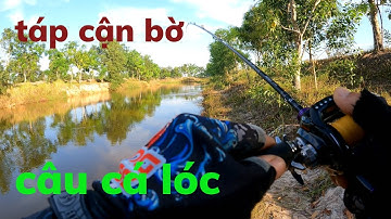 Câu Lure Cá Lóc ● Câu Cá Lóc Dạo Sân Golf Buổi Sáng Mùa Gió Lạnh Và Cái Kết | Tâm Râu Vlog #198