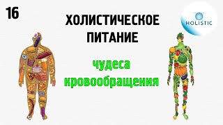 Холистическое питание - часть 16 (чудеса кровообращения) 🇷🇺