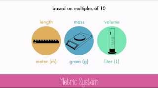 The Metric System