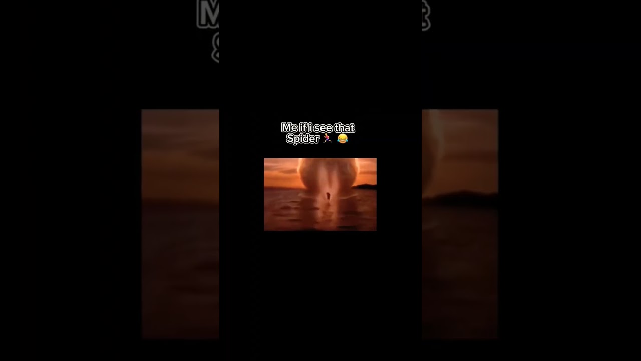 me if I see that spider. flash running meme 