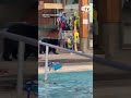 'Definitely scared': Bear sighting shocks guests at resort