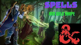Best Spells: for Druid Wild Shape D&D 5e