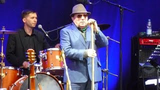 Van Morrison - By His Grace (Live in Stuttgart, 13.07.2016) [HD]