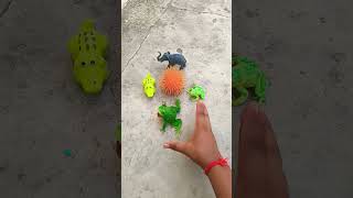 Catch big frogs funny | Try don't laugh | wepwep catching frogs make you laugh #shortsviral