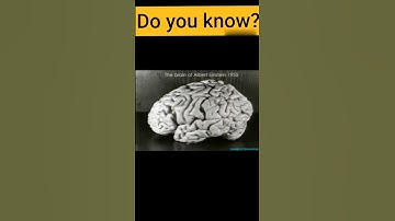 Albert Einstein Brain Facts #shorts #viralvideo #factshorts #alberteinstein #einsteinbrain