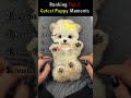 Cutest Puppy Moments! #shorts #puppies #dogs