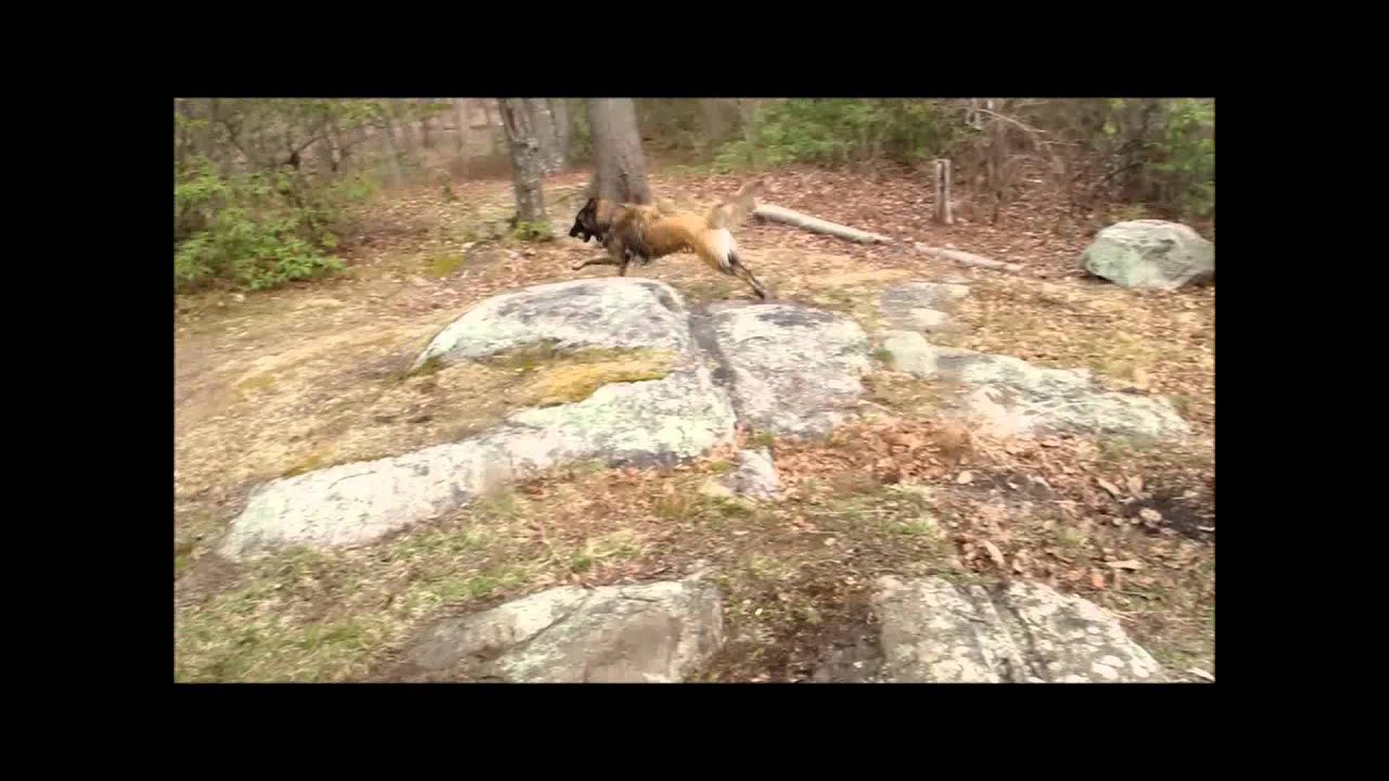 4/10/13 maggie and riley in water-music by howard rains