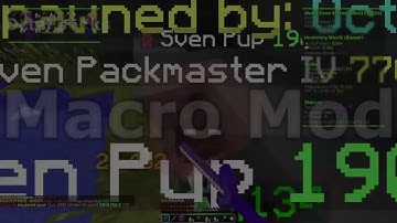 Hypixel Skyblock NEWEST Sven Macro Mod November 2025