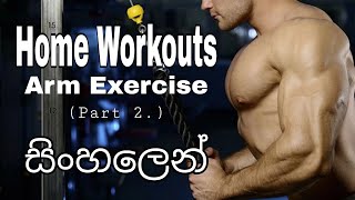 How To Build Muscle At Home: The BEST Triceps  Home Workout For Growth: SINHALA.