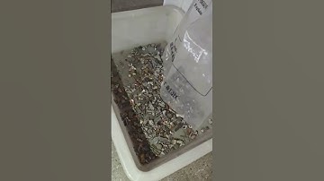 Color sorter separates copper and aluminum #machine #ricecolorsortermachine #ricecolorsorter