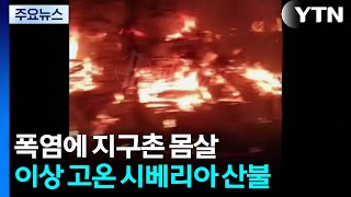 이상 고온에 시베리아도 산불...폭염에 인명피해 속출 / YTN