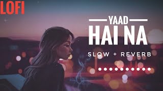 Lofi Lyrics - Yaad Hai Na | Arjit Singh | Slow And Reverb | @lofilyrics4802