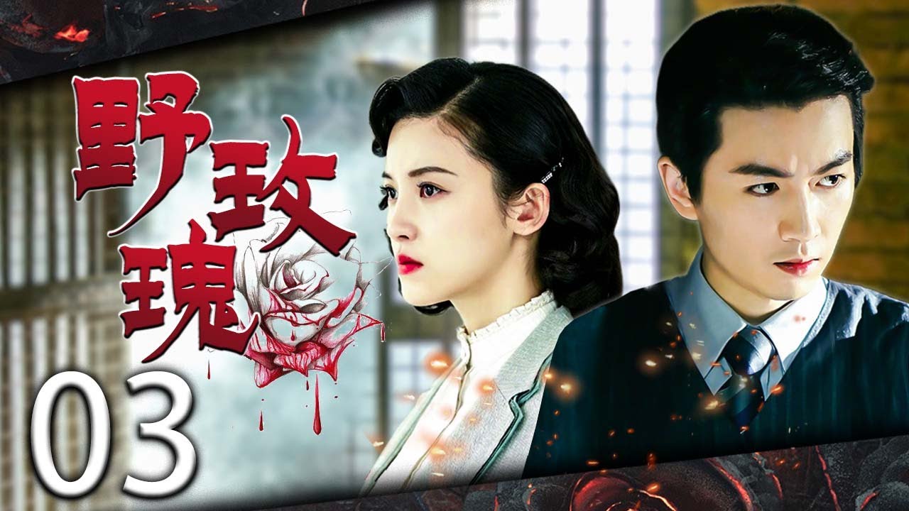 野玫瑰 03 | 美女特工經歷戰火洗禮，從菜鳥成長為一名擁有堅定革命信仰的黨員 | 主演：楊子姍、陳曉、譚凱
