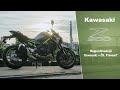 Kawasaki Z900 – Právem nejprodávanější Kawasaki v ČR?