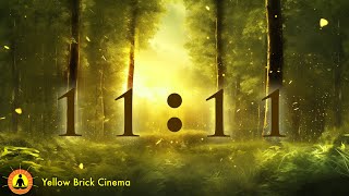 Meditation Music for Sleep and Healing Chakras, Stress Relief, Meditation, Tranquil Birds Sounds screenshot 5