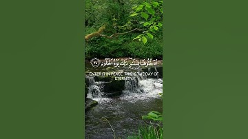 من خشي الرحمن بالغيب | القارئ صلاح المصلى قرآن