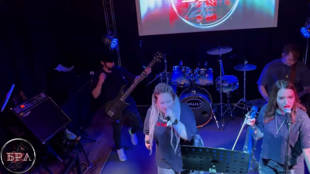 System of a down - Toxicity (БРЛ live cover)