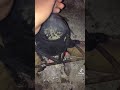 براد الشاي بيغلي بالمرمريه رفح براد الشاي بيغلي بالمرمريه رفح