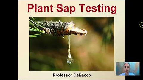 Plant Sap Testing