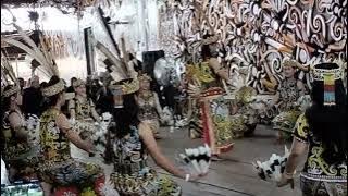 Tari Dayak Kenyah,OBJEK WISATA DESA BUDAYA PAMPANG SAMARINDA KALTIM