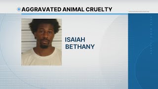 'There are dogs buried in the backyard': Memphis Animal Services employee accused of animal cruelty