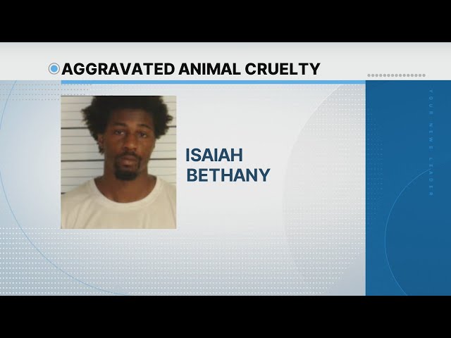 'There are dogs buried in the backyard': Memphis Animal Services employee accused of animal cruelty
