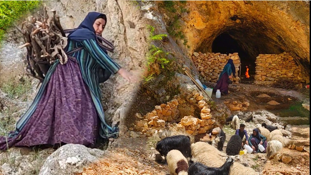 Nomadic life in , repairing the cave, bringing firewood by the nomadic ...