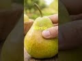 9 frutas com baixo índice glicêmico