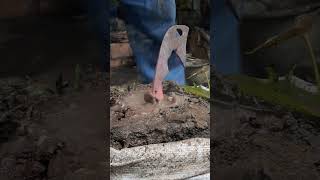 the process penyepuhan dalam lumpur #shorrts #kerajinanbesi #metalworking #youtube #viral #travel