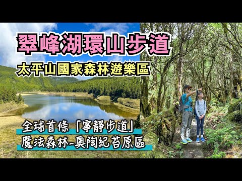 太平山翠峰湖環山步道⛰️ 好走嗎？路線推薦！全球首條寧靜步道+魔法森林奧陶紀苔原區+全台最大高山湖泊，交通門票停車介紹｜太平山國家森林遊樂區｜宜蘭大同景點｜親子旅遊