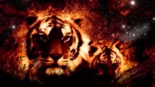 POINTER SISTERS  ...  DON'T IT DRIVE YOU CRAZY    ....