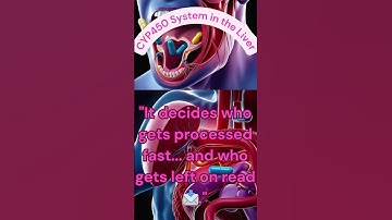 CYP450 System and the Liver