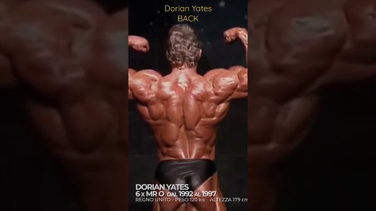 Dorian Yates DvD Special Edition 15 Years Blood & Guts