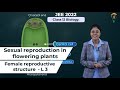 Class 12 biologysexual reproduction in flowering plants female reproduction structure l3