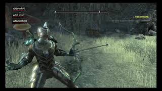The Elder Scrolls Online BUGS & GLITCHES