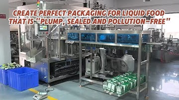 Efficient Liquid Packaging Solution | Rotary Spout Pouch Filling & Capping Machine